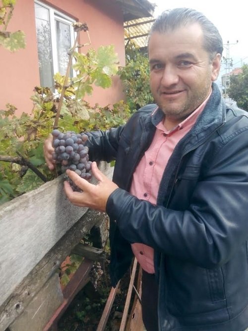 ALAPLI SABIRLI KÖYÜNDE OTURAN ÜNVER BOZKURT KARAÇATLAK ÜZÜMÜ YETİŞTİRİCİLİĞİ YAPIYOR( ERTUĞRUL YÜKSEL/ ZONGULDAK-İHA) (ERTUĞRUL YÜKSEL/ZONGULDAK-İHA)