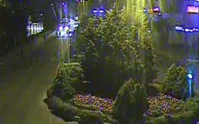 ZONGULDAK’TA KONTROLDEN ÇIKIP KARŞI ŞERİDE GEÇEN OTOMOBİLİN TAKLA ATMA ANI GÜVENLİK KAMERASINA YANSIDI. (ONUR ALTINDAĞ/ZONGULDAK-İHA)