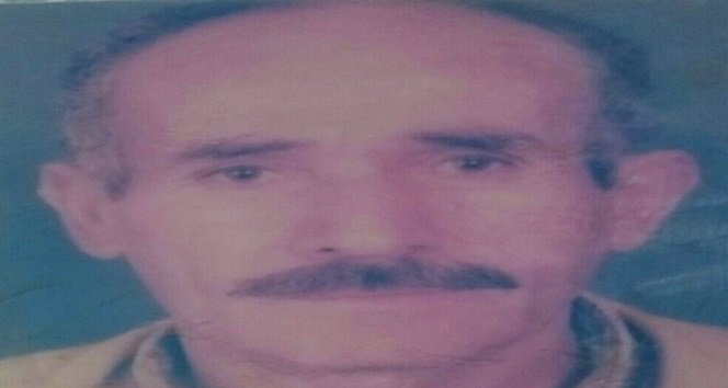 Kestiği ağacın altında kalan işçi hayatını kaybetti