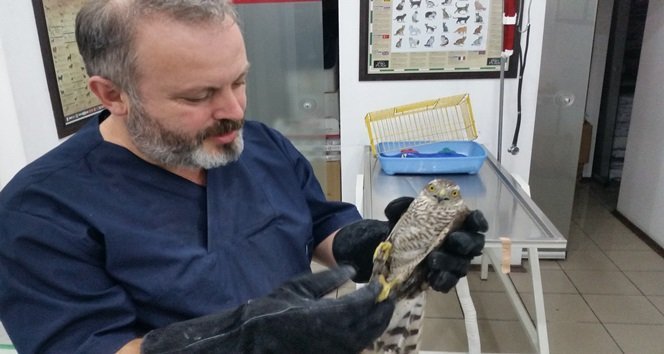 Çaycuma’da ‘Pin’ Konulu Operasyon