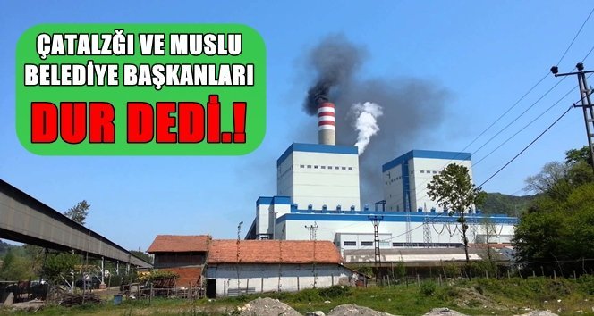 Çatalağzı ve Muslu’daki termik santral başvurusu durduruldu