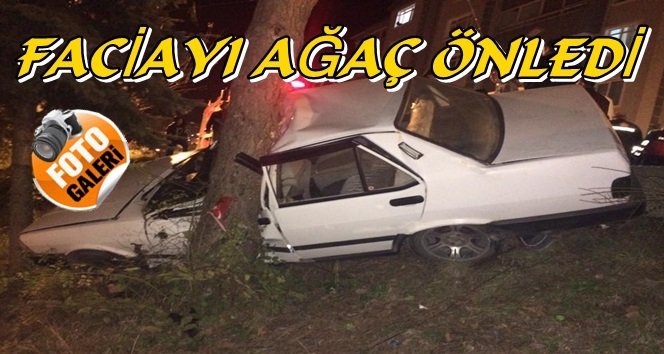 Önce Yayaya, Sonra Ağaca Çarptı. Ölümden Döndü.!