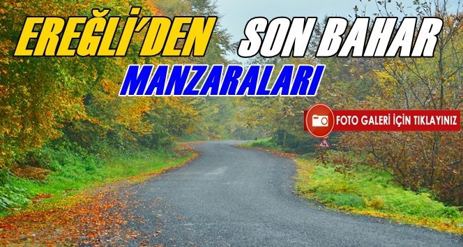 Ereğli Karayolunda Sonbahar Renkleri