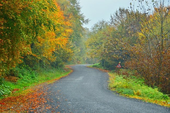 ZONGULDAK’TA SONBAHARIN GELMESİYLE ZONGULDAK-EREĞLİ KARAYOLU SONBAHAR RENKLERİNE BÜRÜNDÜ. (ONUR ALTINDAĞ/ZONGULDAK-İHA)