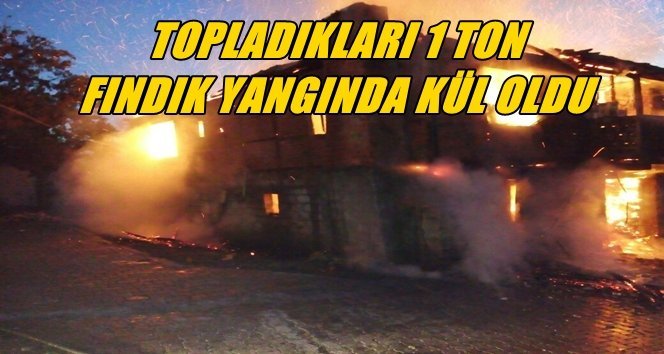 Çiftçi Ailenin Evi ve Mahsulleri Yanarak Kül Oldu