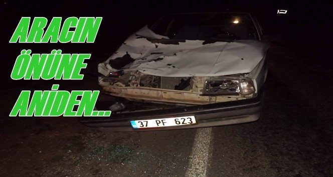 Otomobil Yola Aniden Çıkan…