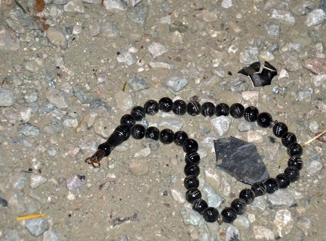 KAZADAN GERİYE YERDE TESBİH KALDI. (AKİF DOĞAN/KASTAMONU-İHA)