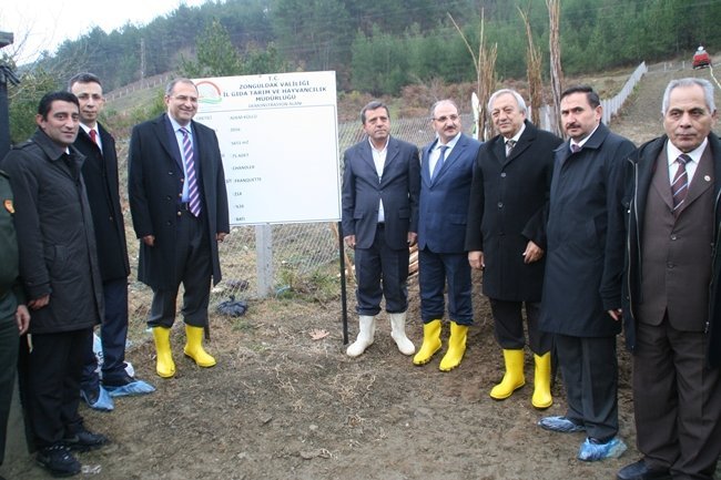DÜZENLENEN FİDAN DİKİMİNDE PROTOKOL ÜYELERİ DE HAZIR BULUNDU (İHA/ZONGULDAK-İHA)