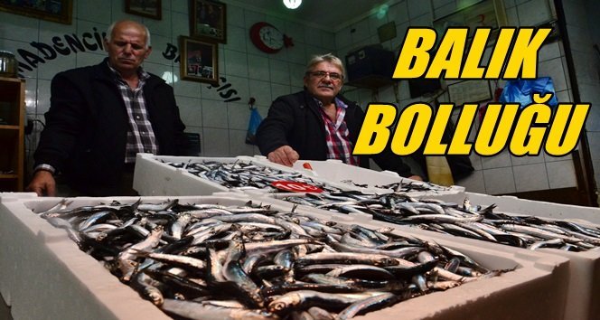 Tezgahlarda Çinakop ve Hamsi Bolluğu