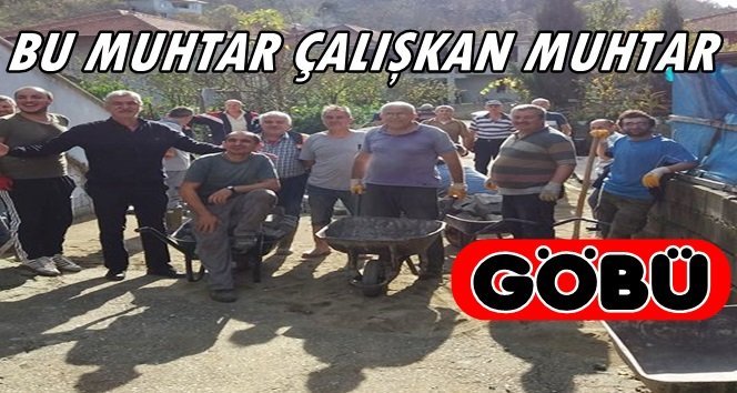 Göbü Köyü Halkı Muhtarla Birlikte Taş Döşüyor