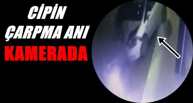 Akıl Almaz Kaza Kamera’da…