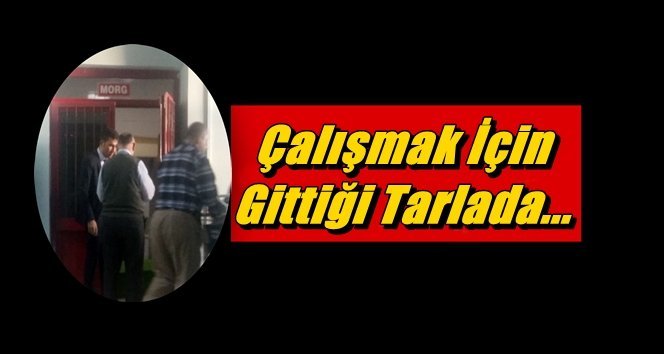 Ecel Çalışırken Yakaladı