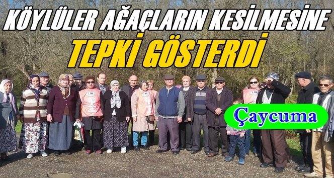 Adaköy Halkı Ormanlarına Sahip Çıktı