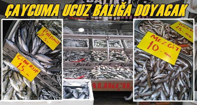Balık Fiyatları Çaycuma’da Ucuzladı