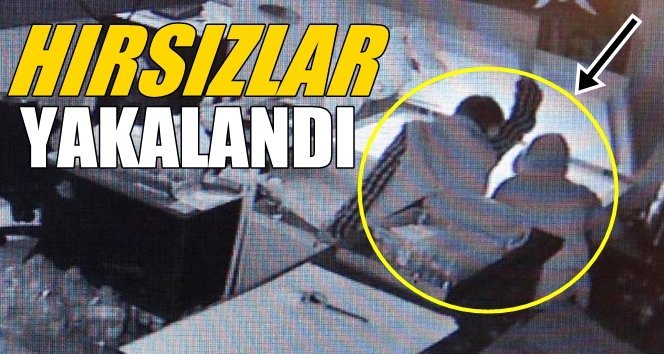 Dükkandan Balık Çaldılar, Sonra Yakalandılar