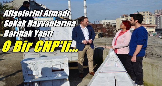 CHP’li Yavuzyılmaz Sokak Hayvanlarını Unutmadı