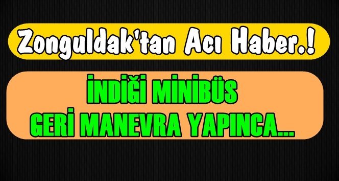 Minibüsten indi ve…