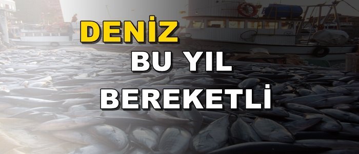 Balık bolluğu