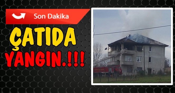 Sıcak Saatler, Yangın Çıktı.!