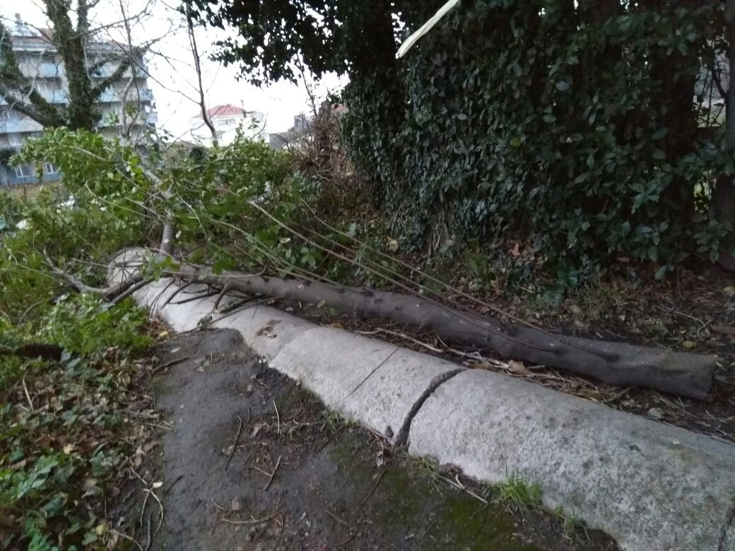 15311012_1735132596813563_1558503920_o