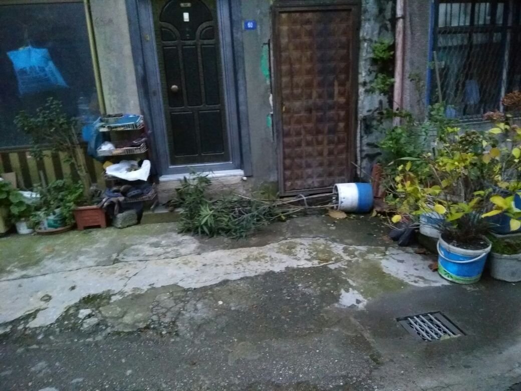 15321480_1735112500148906_1991652483_o