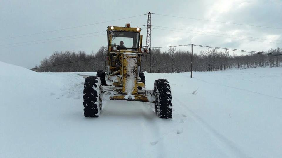 15420949_894201964050015_1916718311716570612_n