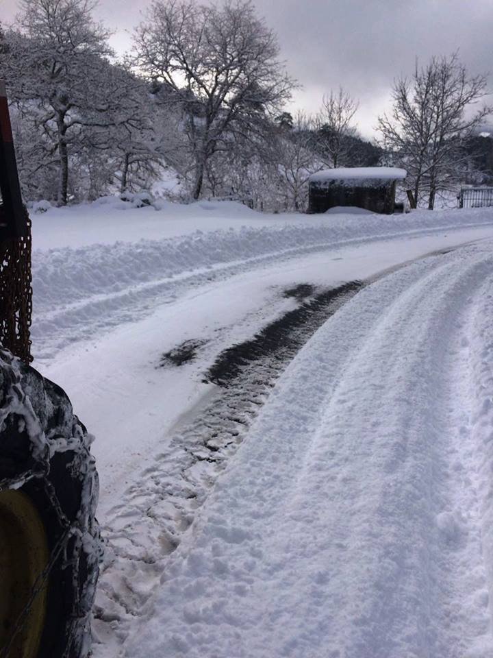 15621907_894202014050010_4964388222249784169_n