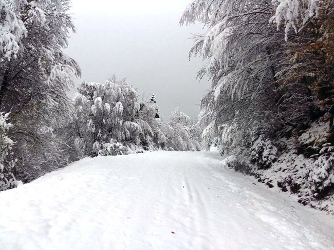 BARTINDA KAR ETKİLİ OLUYOR (MUSTAFA KURT/BARTIN-İHA)