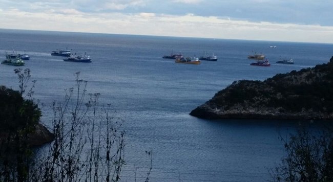 KARADENİZLİ BALIKÇILAR, KASTAMONU’NUN CİDE İLÇESİ AÇIKLARINDA BİR GECEDE 500 TON HAMSİ AVLADI. (MEHMET SALMAN/KASTAMONU-İHA)