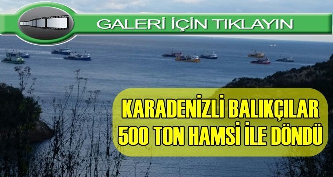 500 ton hamsi avlandı