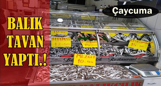 Balık fiyatlarında artış