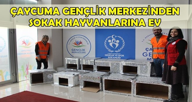 Sokak hayvanları unutulmadı