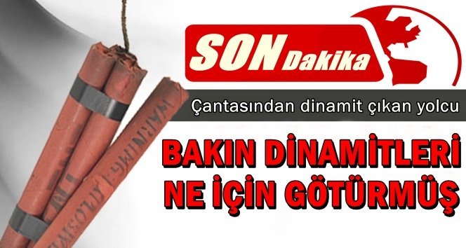 Gözaltına alınan yolcu
