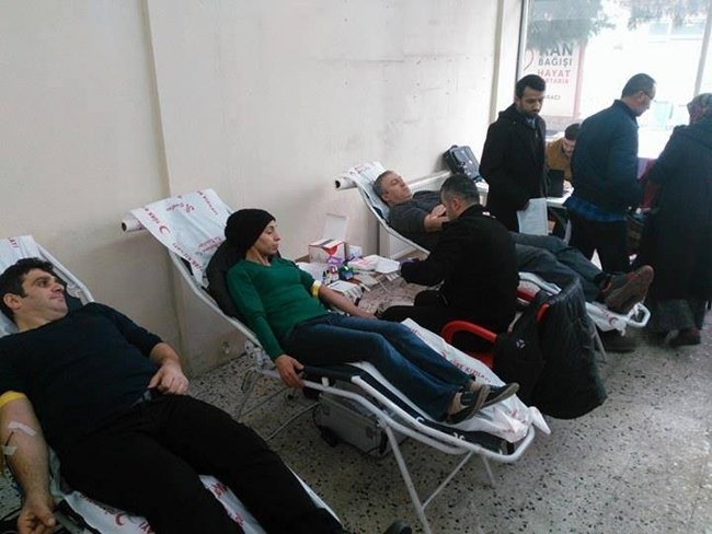 16003177_1228481657237840_4069990211674904654_n