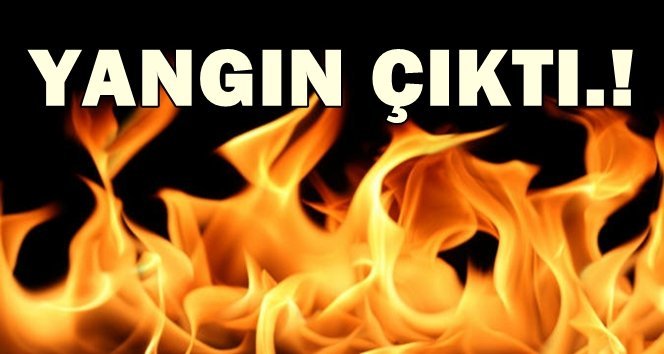 2 katlı evde yangın çıktı