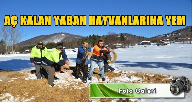 Yem bulmakta zorlanan yaban hayvanları unutulmadı
