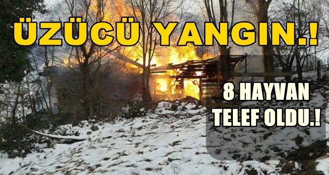 Ev ve ambar yandı