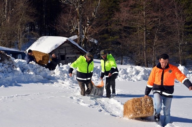 ZONGULDAK'IN ALAPLI İLÇESİ GÜMELİ BELDESİNDEKİ BİN 200 RAKIMDAKİ BÖLÜKLÜ YAYLASI'NDA AÇ KALAN YABAN HAYVANLARI İÇİN DOĞAYA YEM BIRAKILDI. (ERTUĞRUL YÜKSEL/ZONGULDAK-İHA)