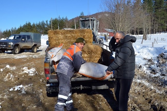 ZONGULDAK'IN ALAPLI İLÇESİ GÜMELİ BELDESİNDEKİ BİN 200 RAKIMDAKİ BÖLÜKLÜ YAYLASI'NDA AÇ KALAN YABAN HAYVANLARI İÇİN DOĞAYA YEM BIRAKILDI. (ERTUĞRUL YÜKSEL/ZONGULDAK-İHA)