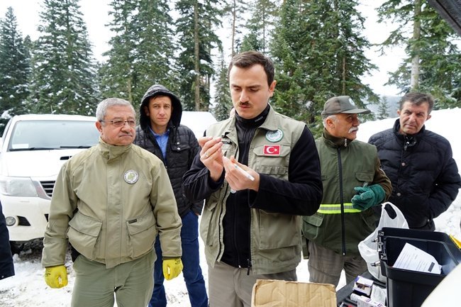 HASTALANAN AYIYA VETERİNER HEKİM MÜDAHALE ETTİ. (VEDAT YUNUS İKİZOĞLU/KASTAMONU-İHA)