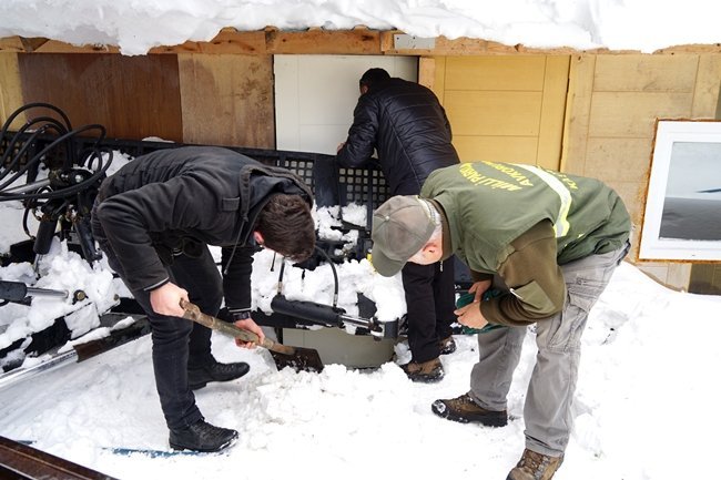HASTALANAN AYI, BOŞ DEPOYA SIĞINDI. (VEDAT YUNUS İKİZOĞLU/KASTAMONU-İHA)