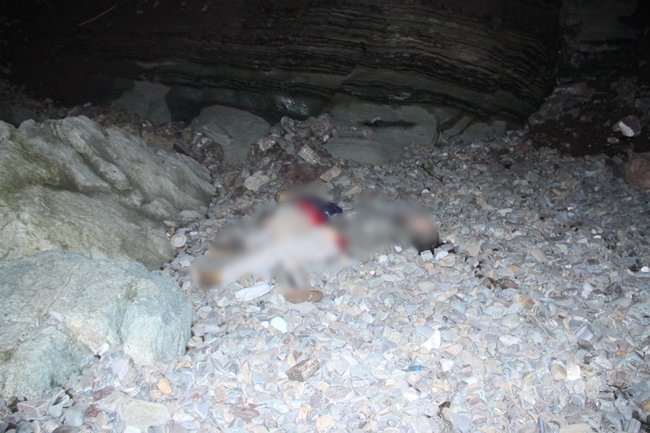 ZONGULDAK’IN EREĞLİ İLÇESİNDE TARTIŞMA YAŞAYAN NİŞANLI ÇİFT YAKLAŞIK 100 METRE YÜKSEKLİKTEKİ UÇURUMDAN DÜŞEREK FECİ ŞEKİLDE CAN VERDİ. (VEDAT KILIÇ/ZONGULDAK-İHA)