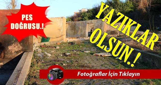 Zonguldak’ta hayvanat bahçesi kaderine terk edildi.!