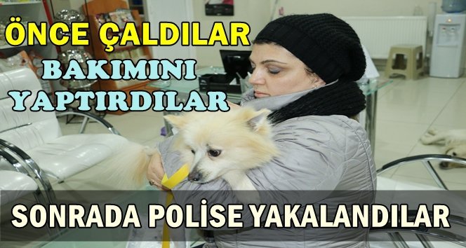 Köpeği veterinere götürünce polise yakalandılar