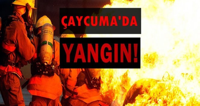 Yanan soba evi kül etti