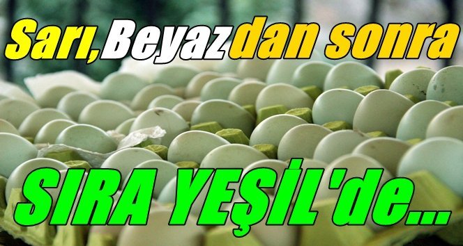 Zonguldak’tan Türkiye’nin her yerine….
