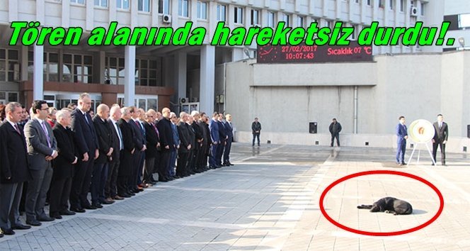 Törende ilginç manzara…