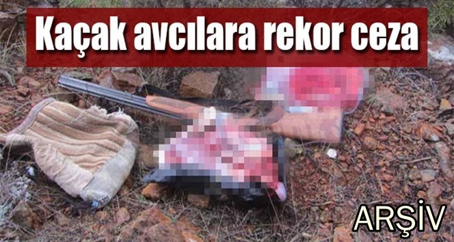 Karaca avlayan avcılara ceza