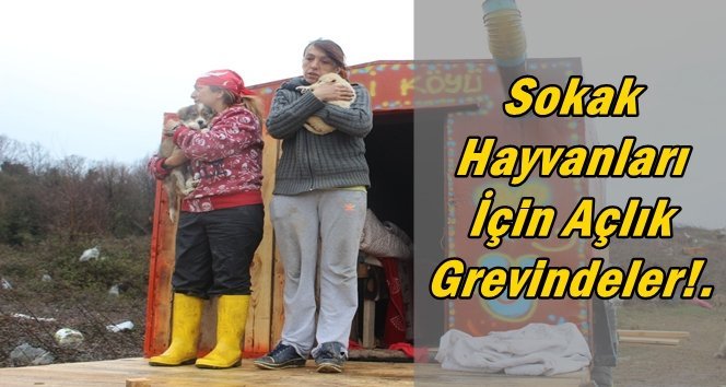 Çöplükte grevdeler!.