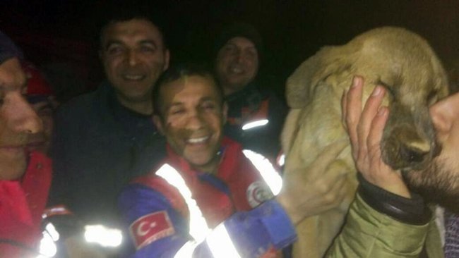 İSTANBUL’DA DÜŞTÜĞÜ KUYUDAN 10 GÜN SÜREN ÇALIŞMANIN ARDINDAN KURTARILAN YAVRU KÖPEĞİ KURTARMA ÇALIŞMALARINA KATILAN TTK EKİPLERİ, O ANLARI ANLATTI. (ONUR ALTINDAĞ - SERTAÇ ÖZDEMİR/ZONGULDAK-İHA)